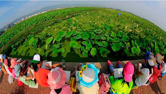 昭阳荷花(灯会)旅游节6月10日开幕 将持续4个月