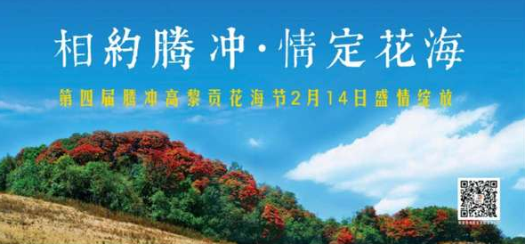 腾冲油菜花