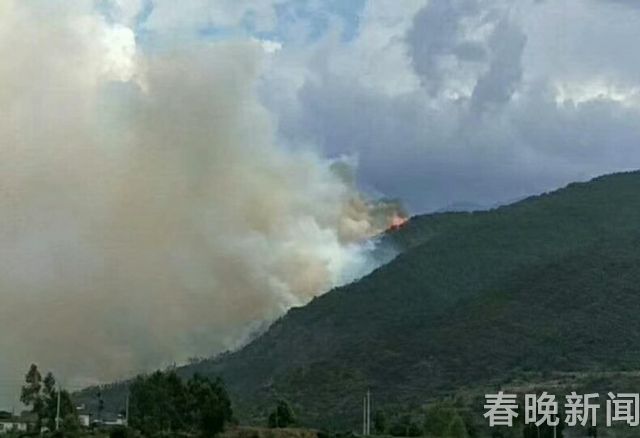 苍山发山火3