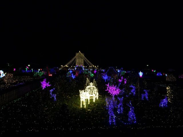 世博园 圣诞夜