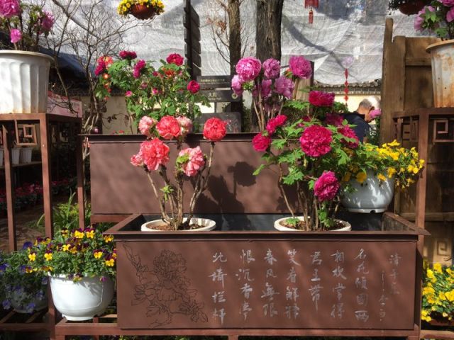 昙华寺公园
