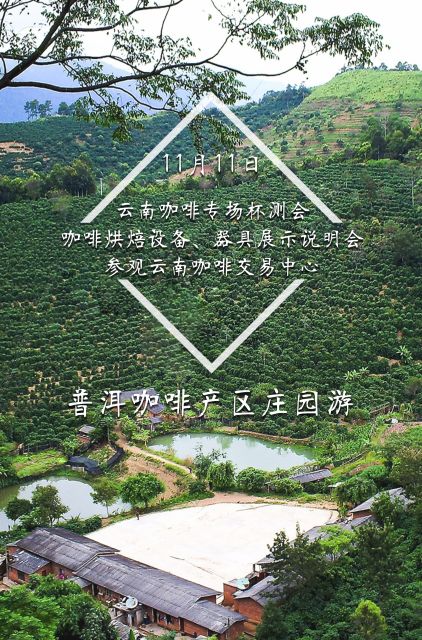 普洱 咖啡