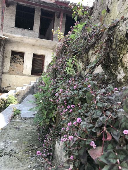 知子罗的台阶.jpg