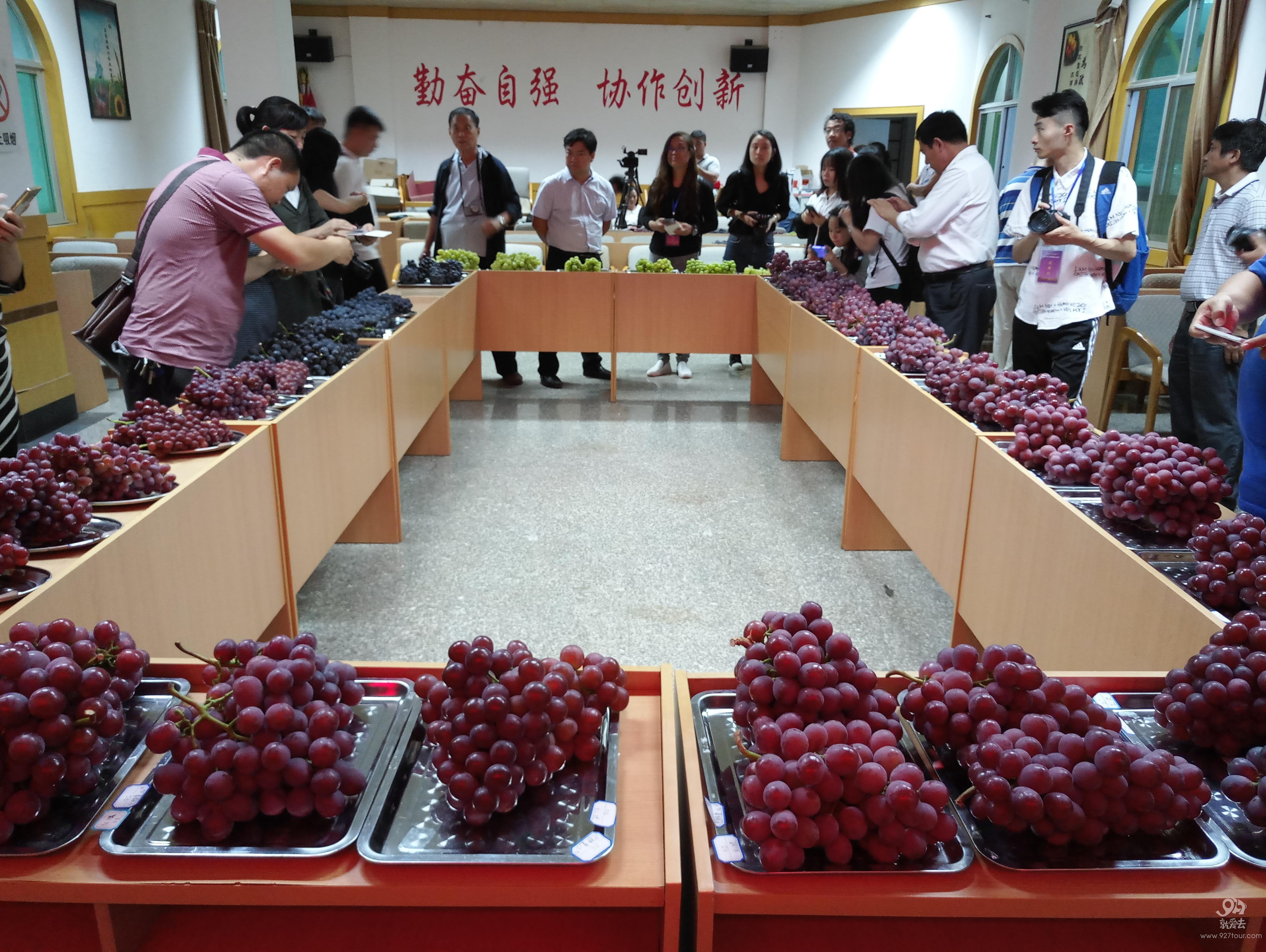 2019鸡足山_旅游攻略_门票_地址_游记点评,宾川旅游景点推荐 - 去哪儿攻略社区