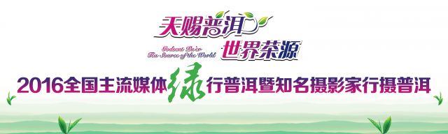 普洱
