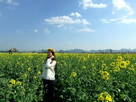 油菜花