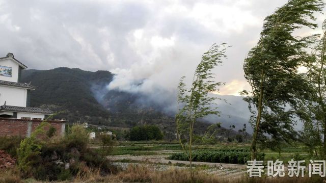 苍山发山火4