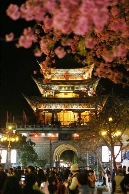 樱花灿烂迎新年  大理古城游人多