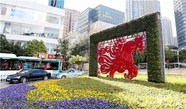 昆明的鸡