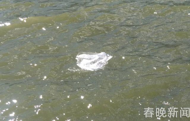 海埂大坝垃圾遍地煞风景