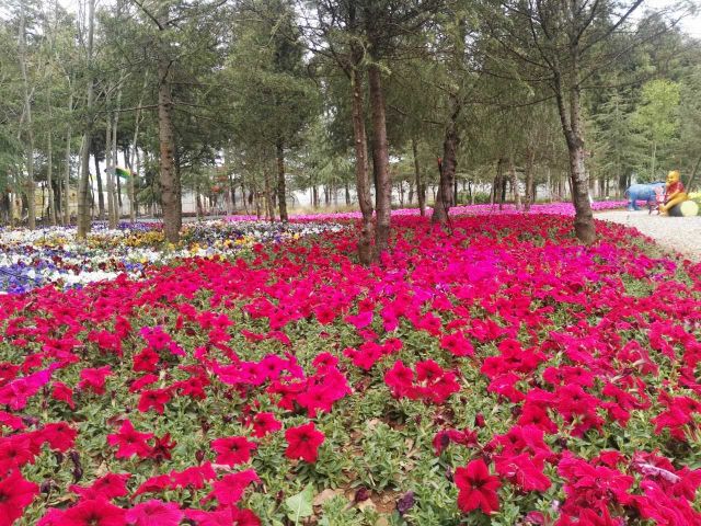 微信图片_20170325191154.jpg