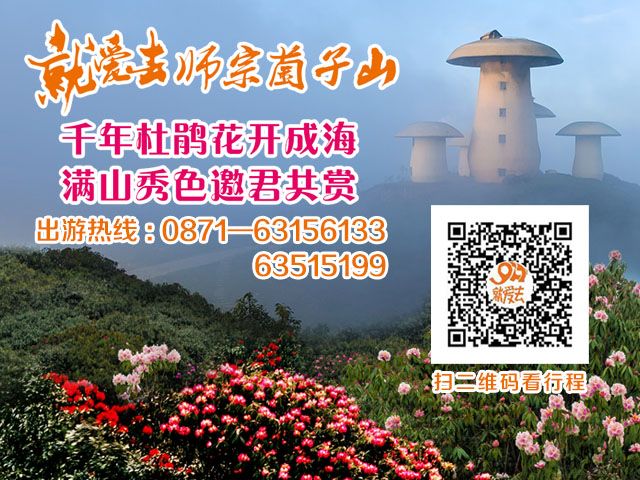 师宗 广告贴片