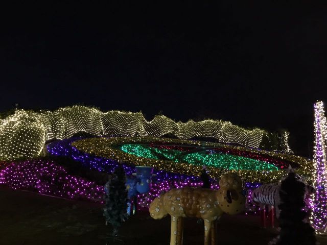 世博园 圣诞夜