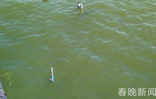 海埂大坝垃圾遍地煞风景