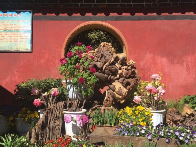 昙华寺公园