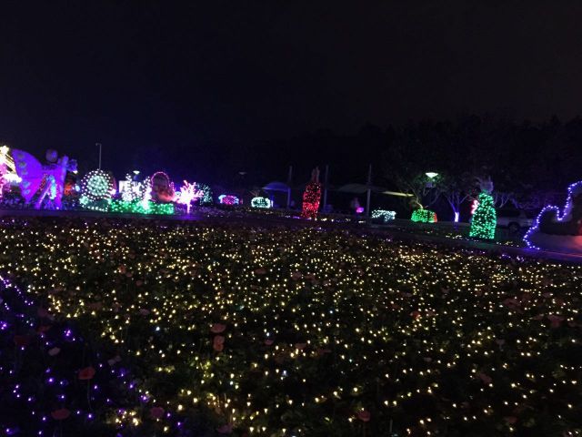 世博园 圣诞夜