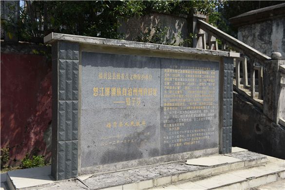 知子罗介绍.JPG