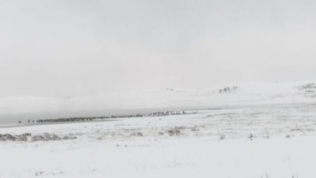 昭通下雪