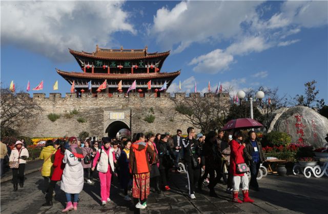 樱花灿烂迎新年  大理古城游人多