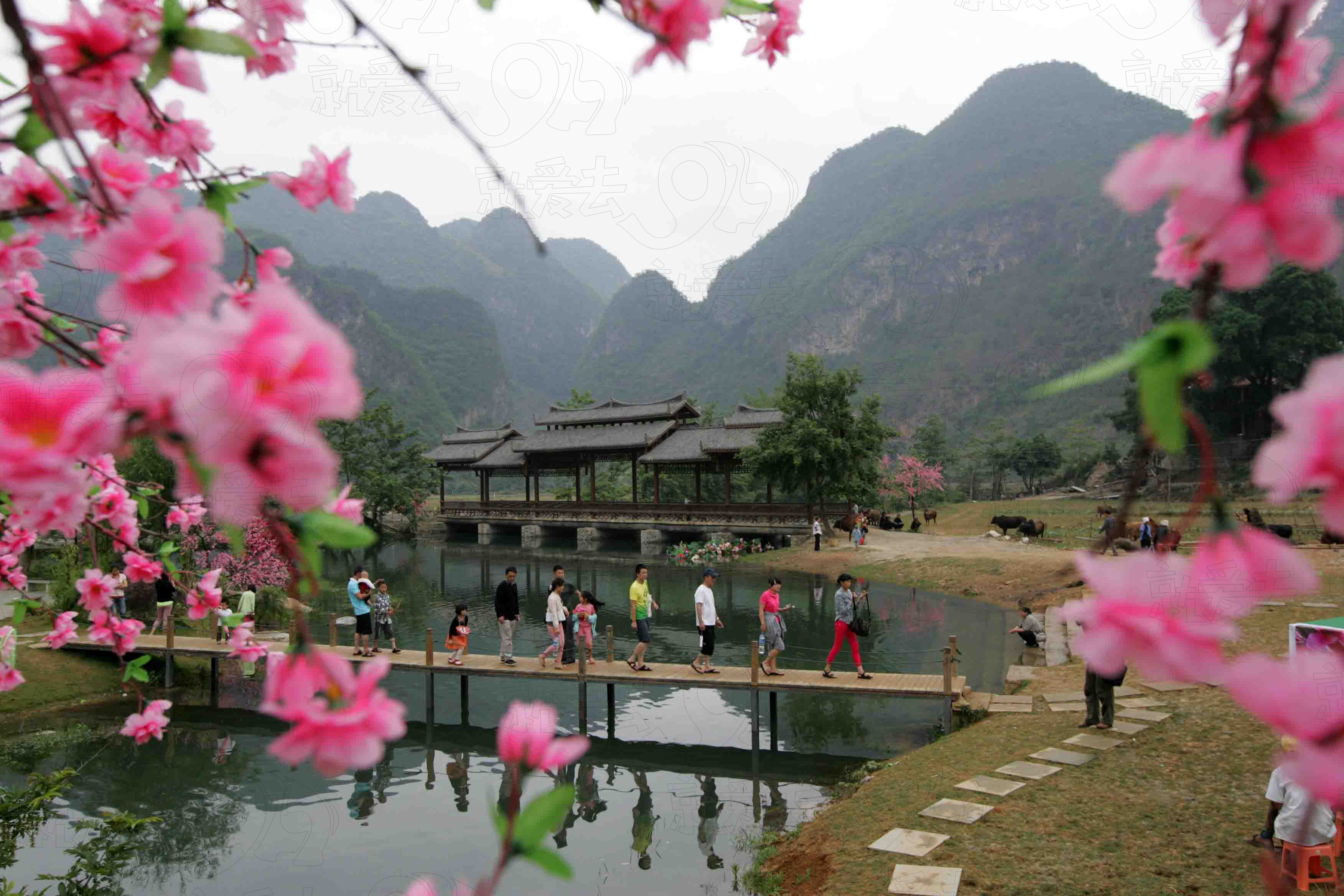 三七之乡 神奇文山——广南