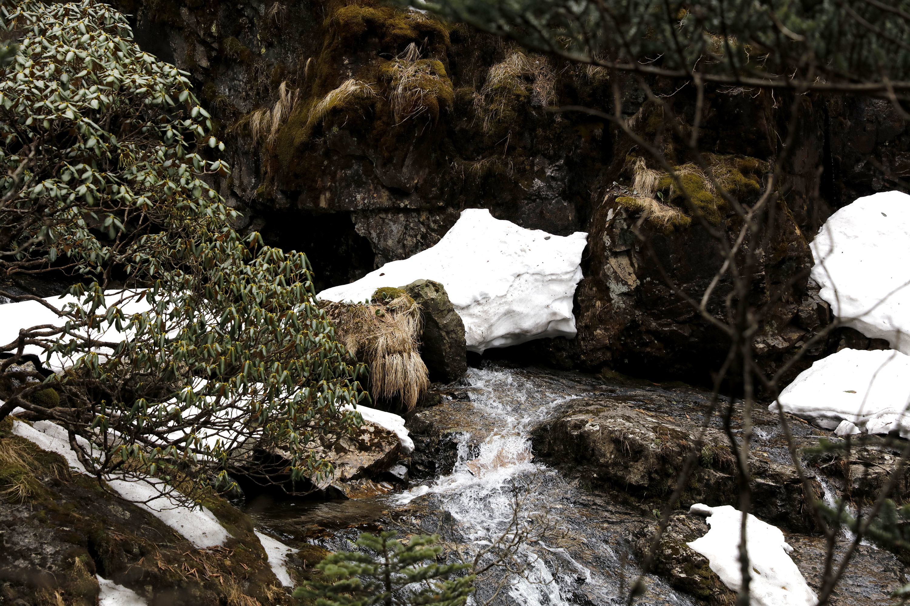 世界花都 魅力昆明——禄劝