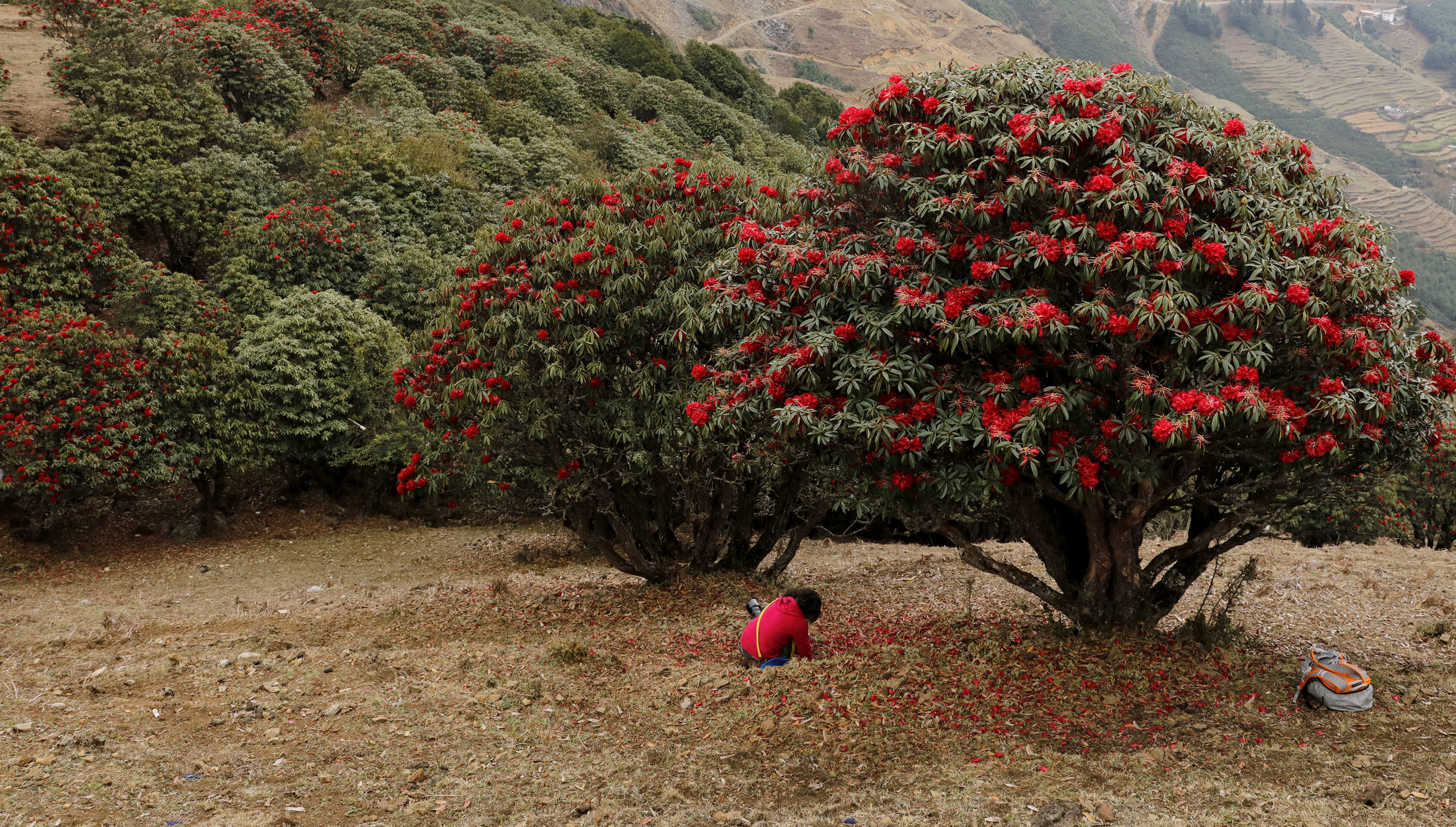 世界花都 魅力昆明——禄劝
