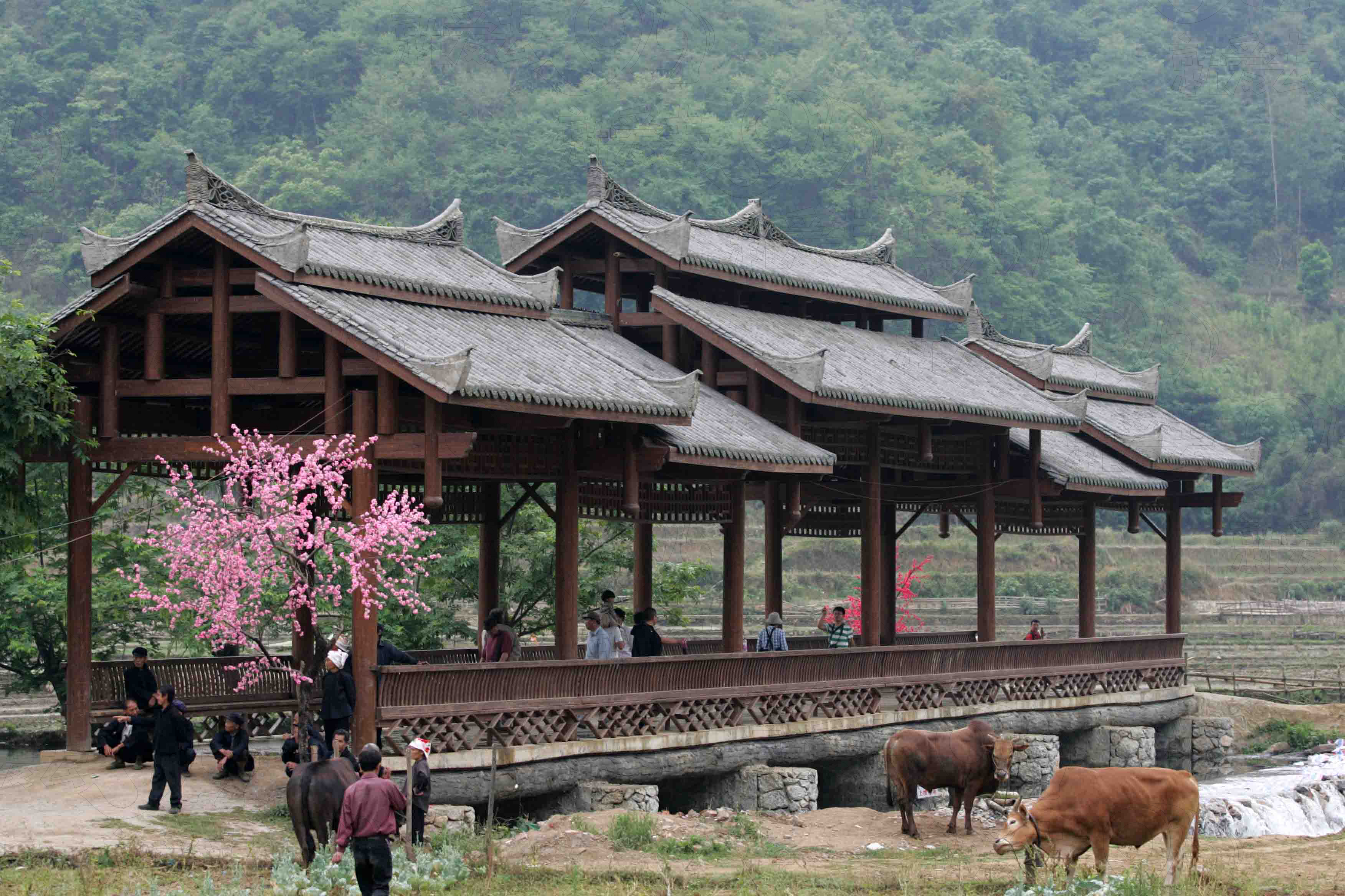 三七之乡 神奇文山——广南