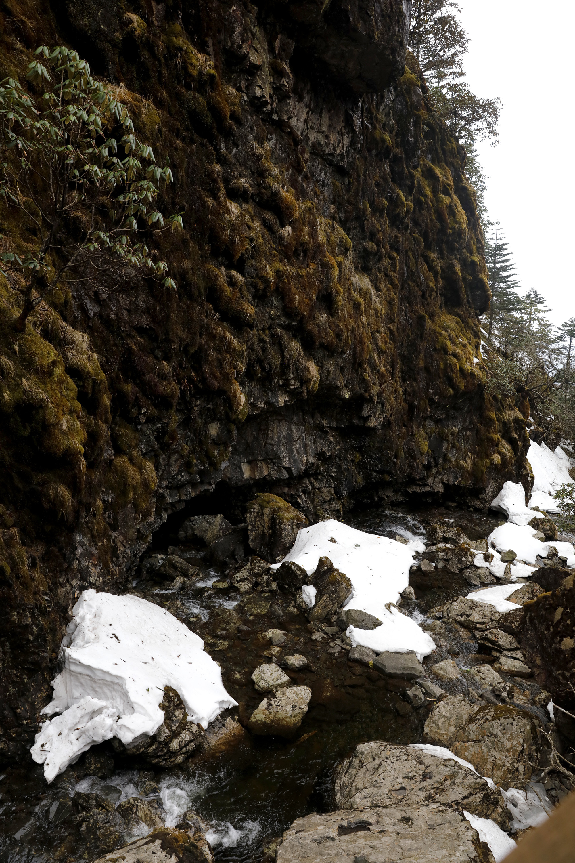 世界花都 魅力昆明——禄劝