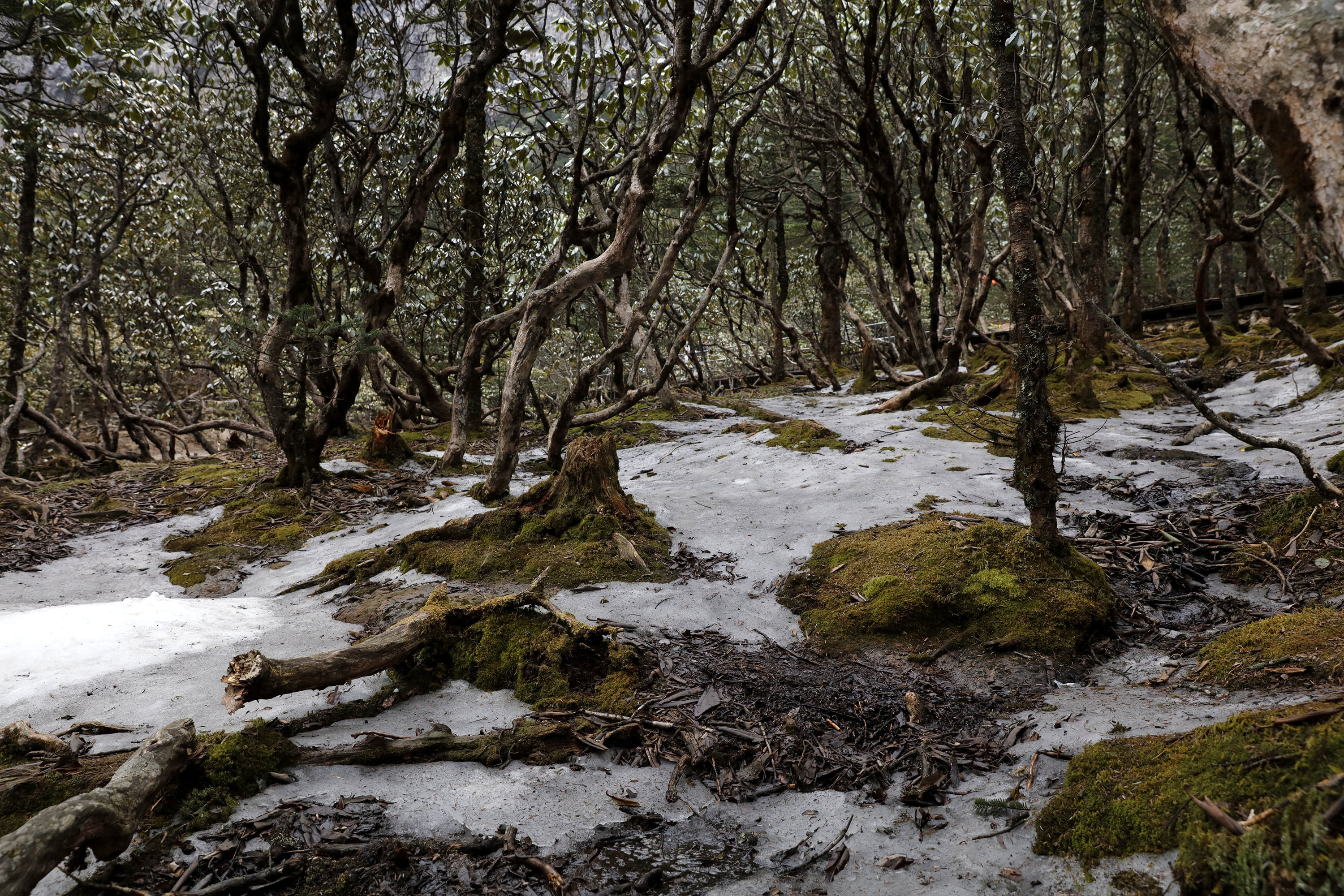 世界花都 魅力昆明——禄劝