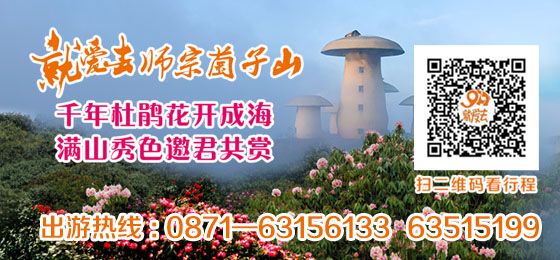 菌子山广告