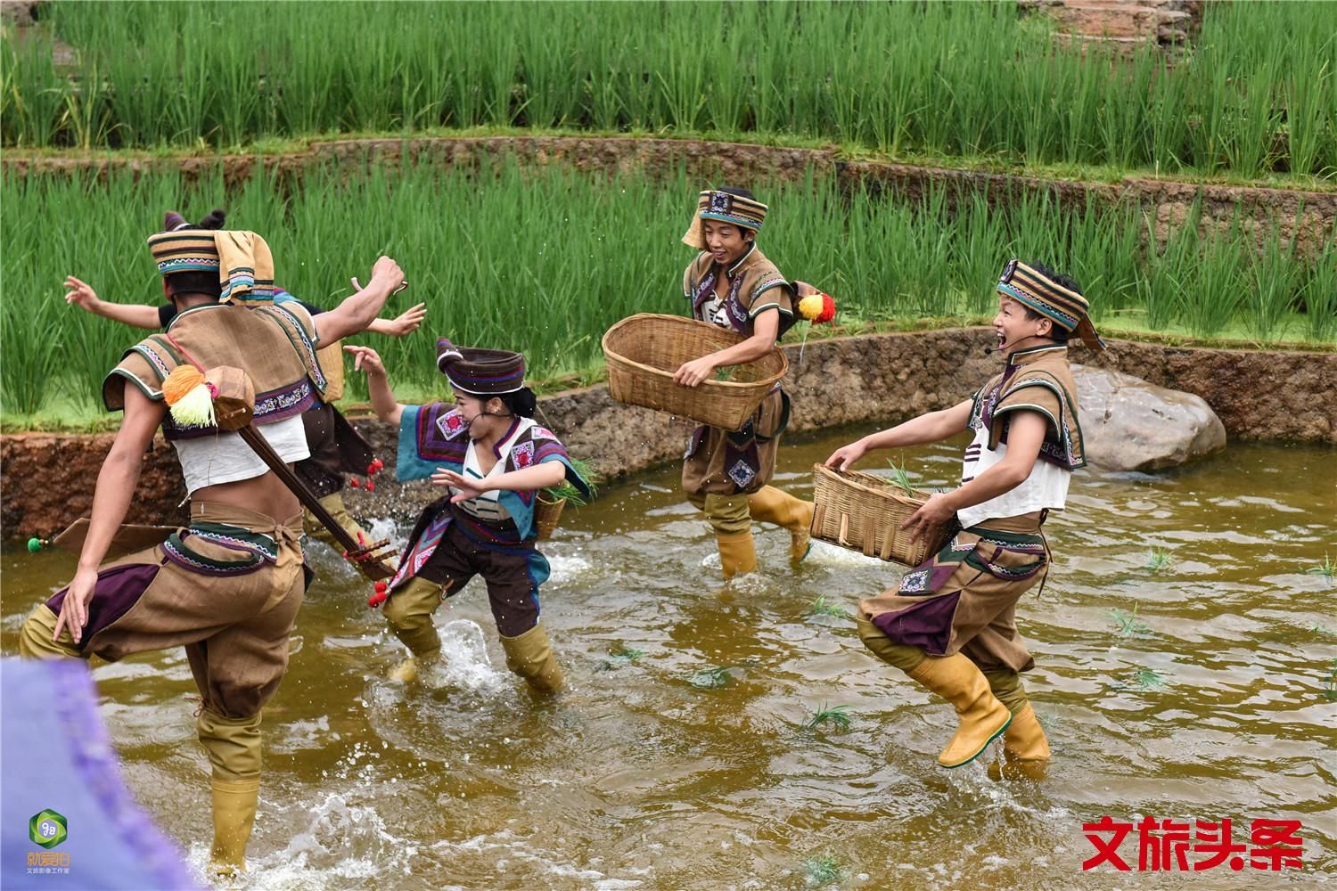 感受哈尼族的“嘎汤帕“节-中关村在线摄影论坛
