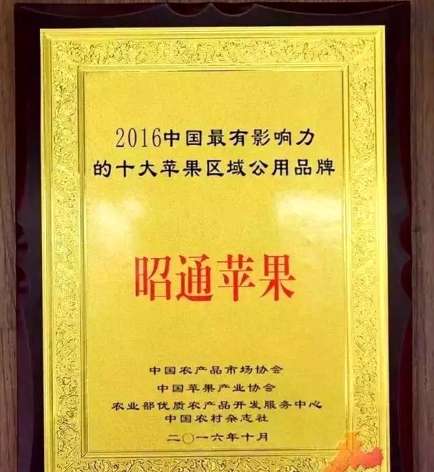 昭通苹果