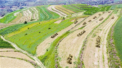 建设美丽新中国共圆伟大中国梦固原绘出300万亩梯田画卷