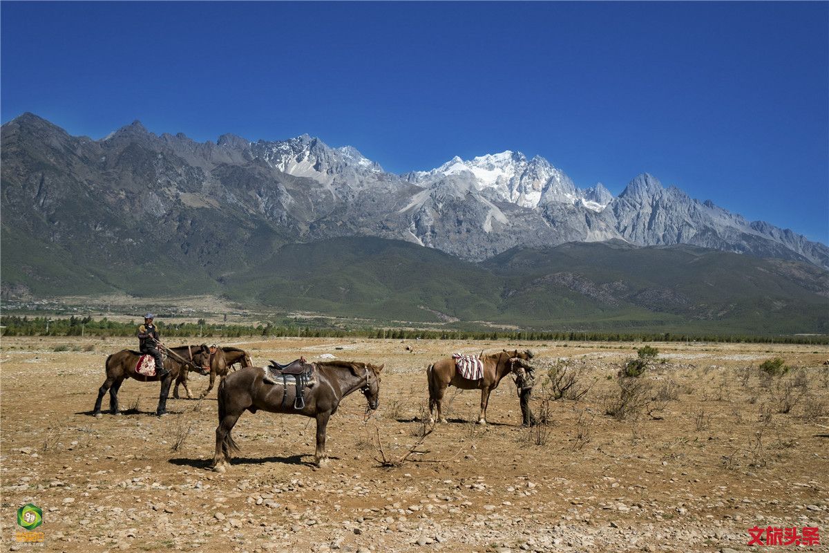 就爱去丽江玉龙雪山
