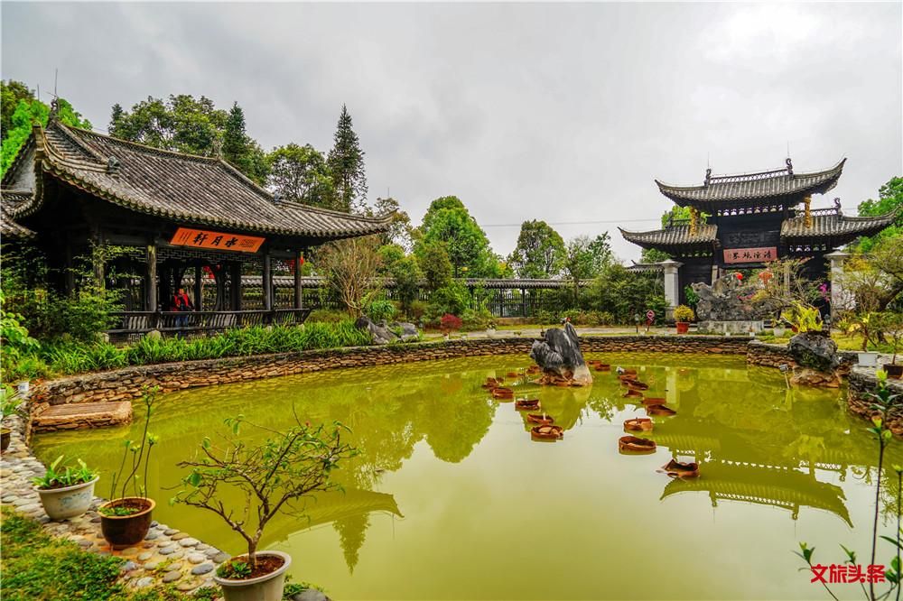 就爱去中华普洱茶博览苑