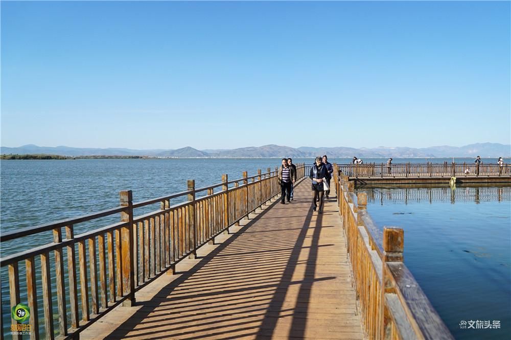 【就爱去江川】星云湖生态湿地公园