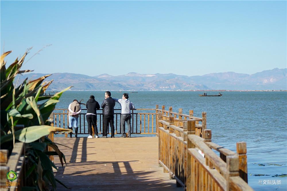 【就爱去江川】星云湖生态湿地公园