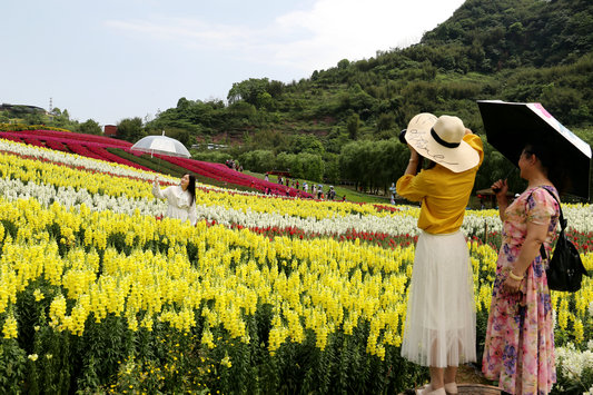 游客在花田酒地景区赏花并拍照留念和煦的阳光,缤纷的春花,五一小长假