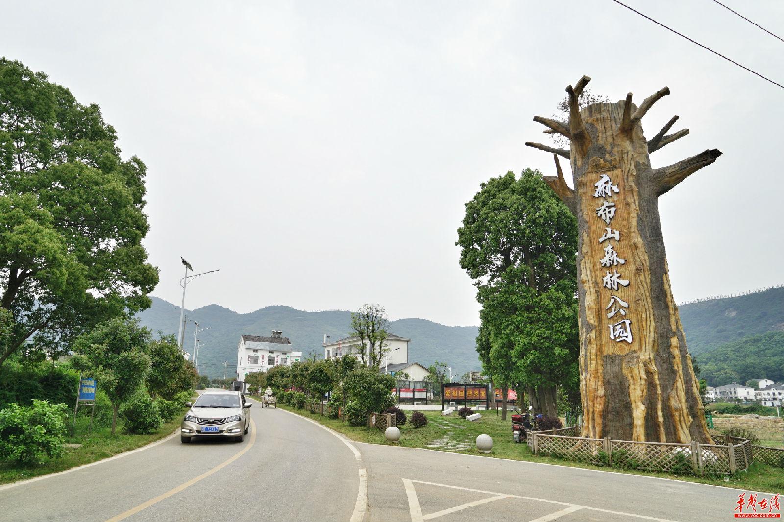 麻布山森林公园交通便利,适宜居民周边游.