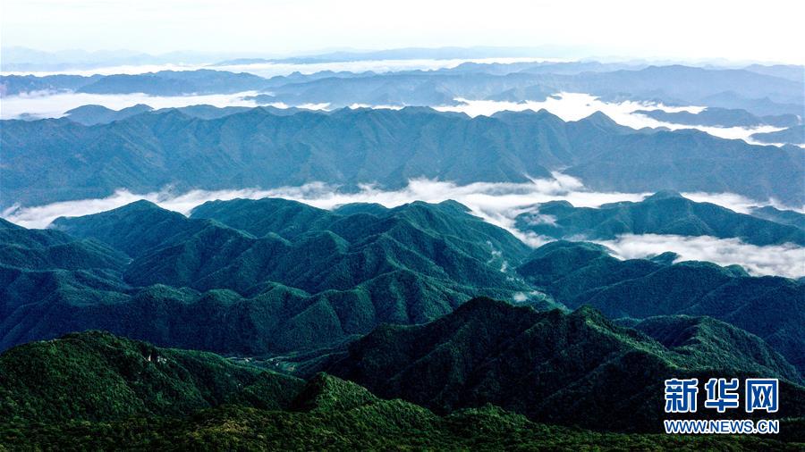 无人机拍摄的陕西紫柏山国家森林公园.