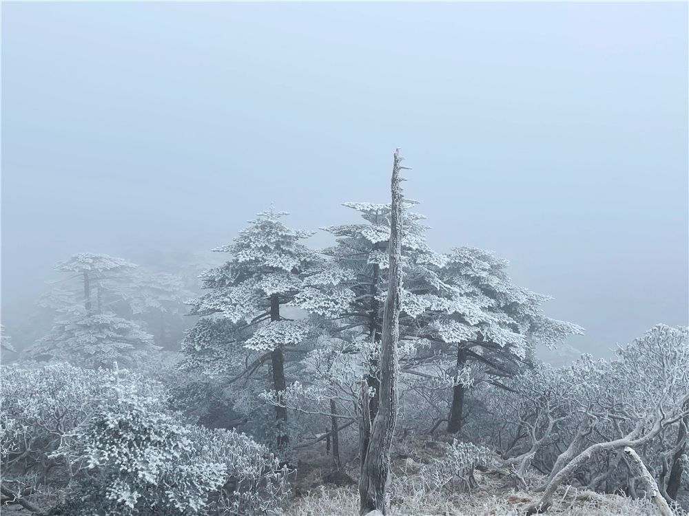 2021年第一场雪带你去看大理苍山鸡足山雪国仙境视频美图