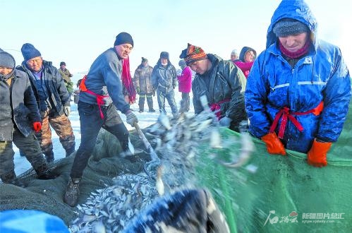 这是渔民在乌伦古湖冬捕作业(2020年12月27日摄)