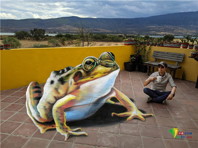 墨西哥艺术家创作最新超逼真3d动物画 鹦鹉螃蟹"破墙而出"