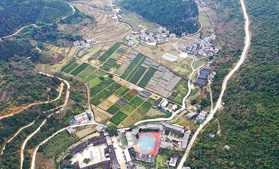 山旮旯里绽放幸福花