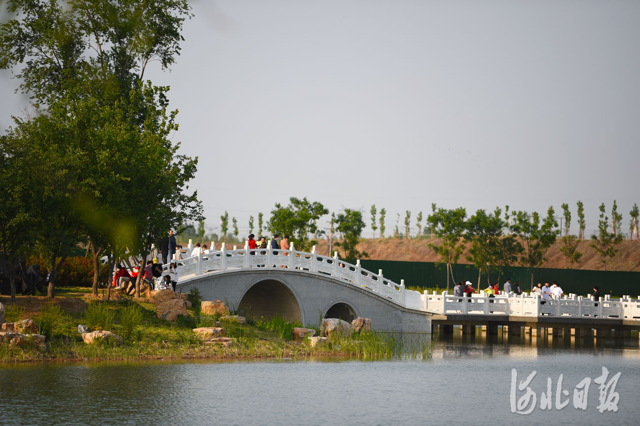 日前,市民在河北省沙河市龙星公园休闲游玩.