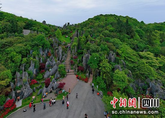 华蓥山是世界三大褶皱山系川东平行岭谷主体山脉,集雄,奇,险,幽于一身