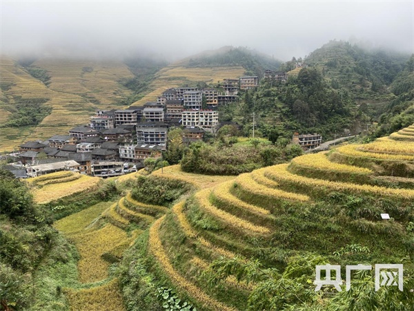 记者来到位于龙脊梯田风景名胜区的大寨村,该村是广西移动探索5g 助力
