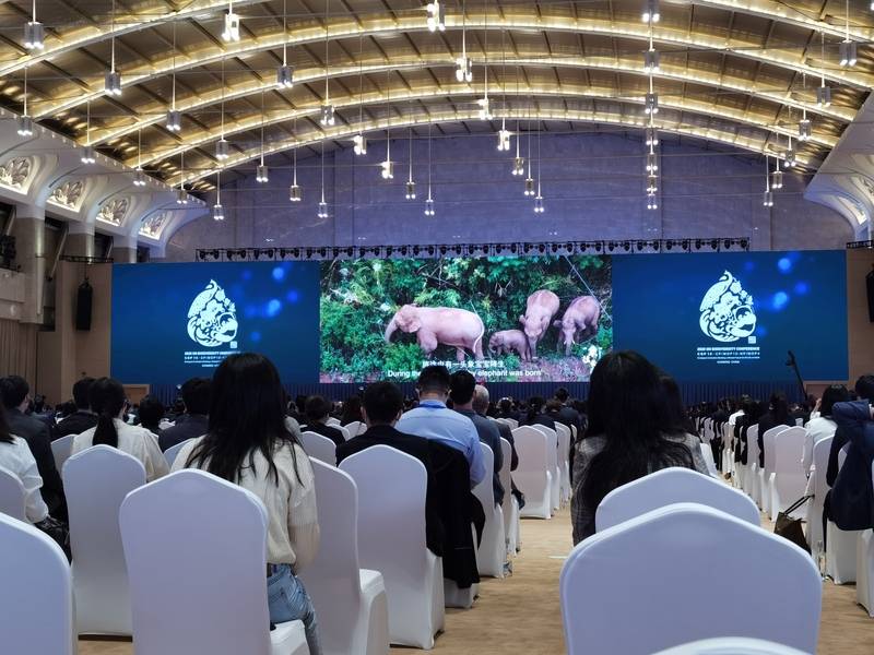 联合国生物多样性大会今天开幕一群大象和两首民歌为何能点燃全场