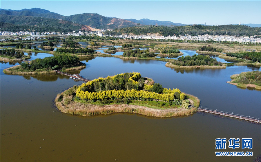 云南石屏:异龙湖冬景引客来_文旅头条