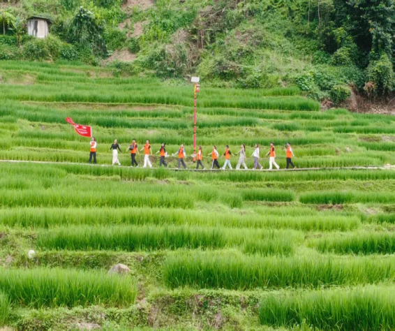 赴金平山海以艺践初心|昆明城市学院艺术学院2026“三下乡”社会实践圆满收官(图5)
